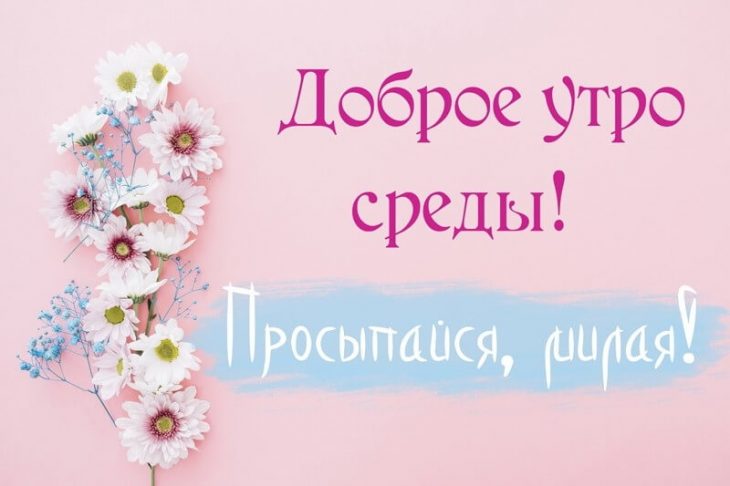 Открытки